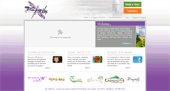 Desktop Screenshot of dragonflyadventurespr.com